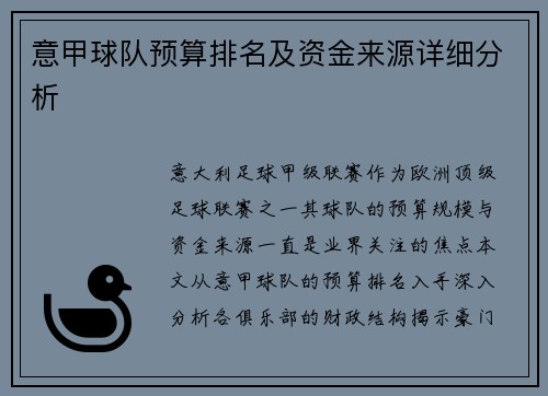 意甲球队预算排名及资金来源详细分析